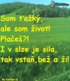 /album/obrazky-/images-1-jpg/